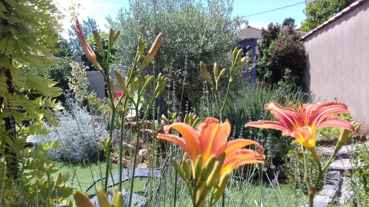 Eclats Du Sud *