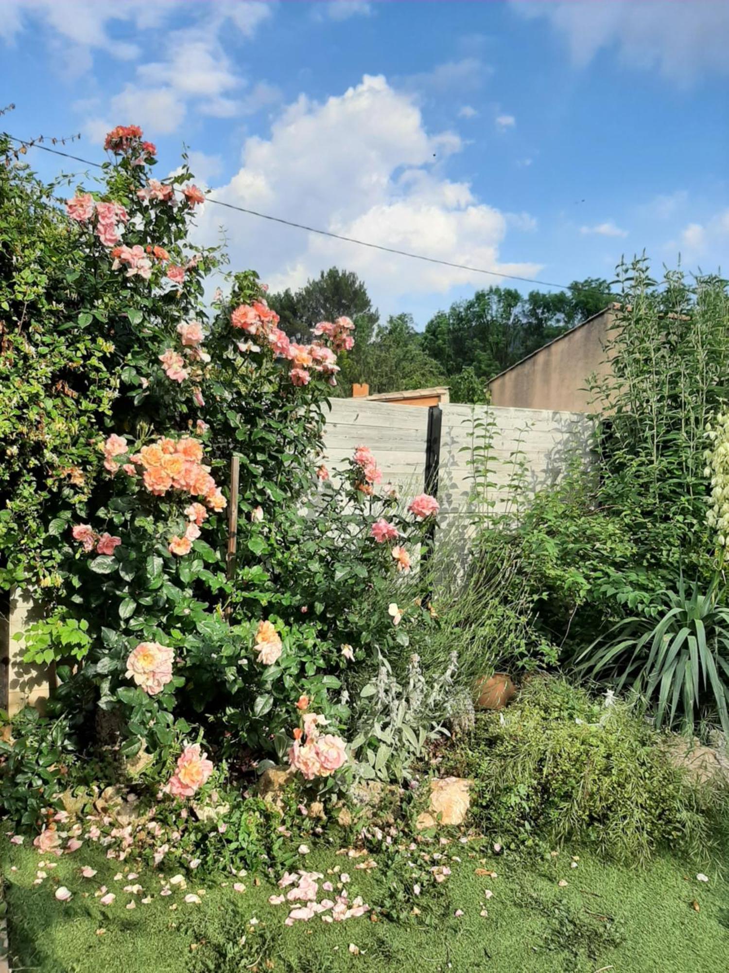 Eclats Du Sud
